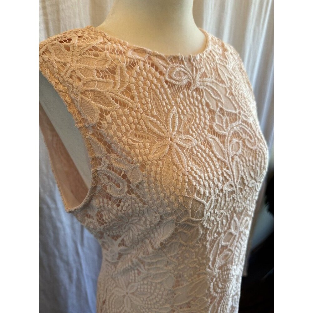 Sharagano Lace Sheath Dress Women 8 Pink Sleeveless Modest Lined Scalloped Hem - Picture 5 of 12
